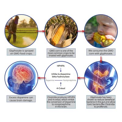 glyphosate